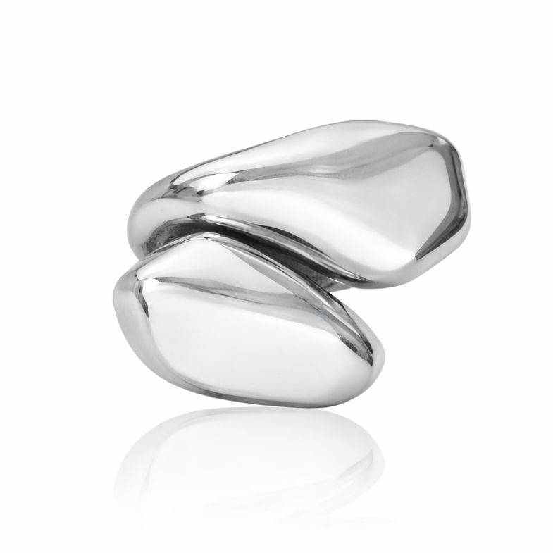 FORM No. 1 — Ring Silver