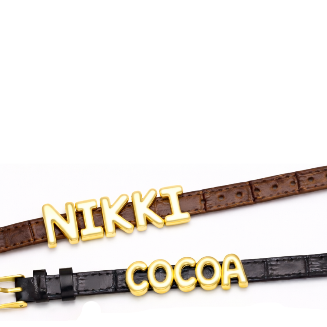 Banded Nameplate Bracelet